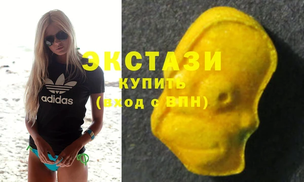 ECSTASY Елизово
