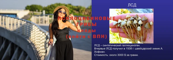 spice Заводоуковск