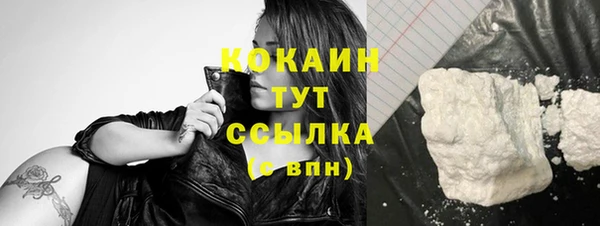 соль ск Ельня