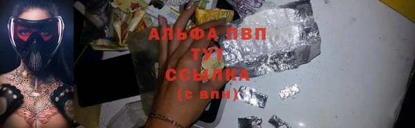 соль ск Ельня
