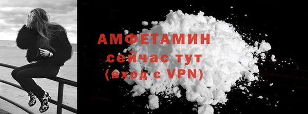 соль ск Ельня