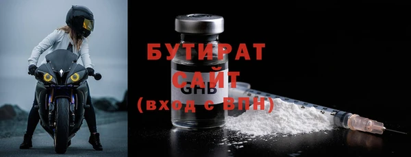 соль ск Ельня