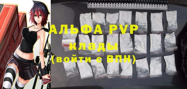 ECSTASY Елизово