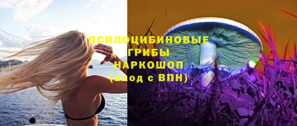 spice Заводоуковск