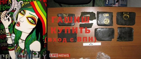 соль ск Ельня