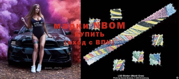 ECSTASY Елизово