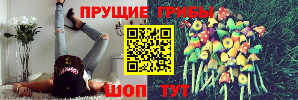 Галлюциногенные грибы мухоморы  Вход с VPN  Псилоцибиновые грибы Psilocybe  Заринск 